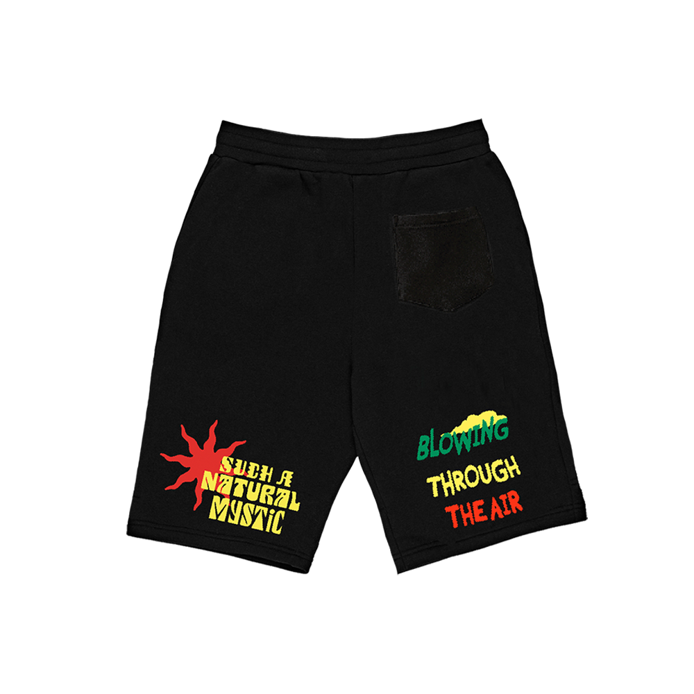 Exodus Shorts Back